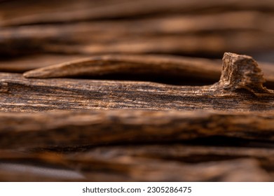 印尼四大沉香產區導覽